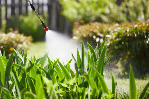 24/7 Emergency Fumigation Services experts in Princeton, NJ