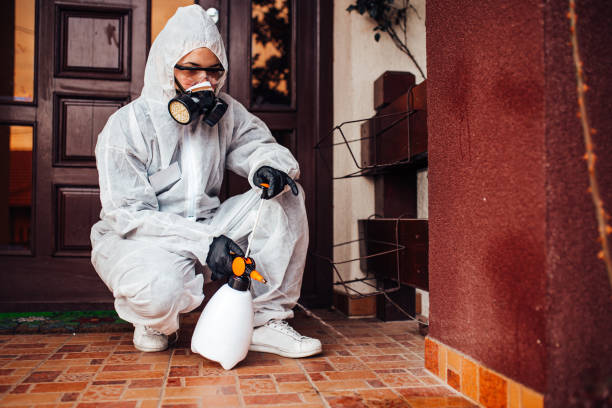 Reliable Fumigation Services contractor in Princeton, NJ by Nex Pest Control